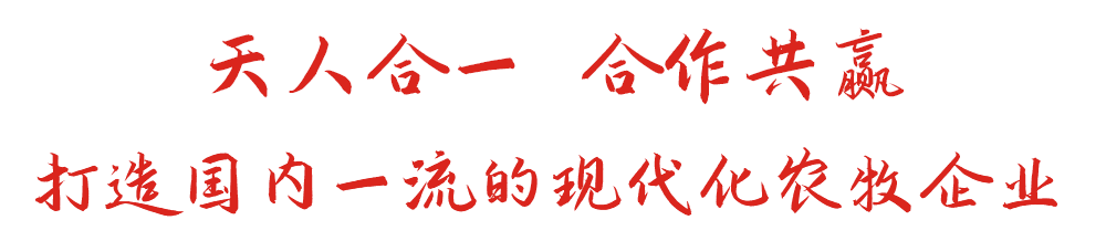 尊老凯时人生就是博
