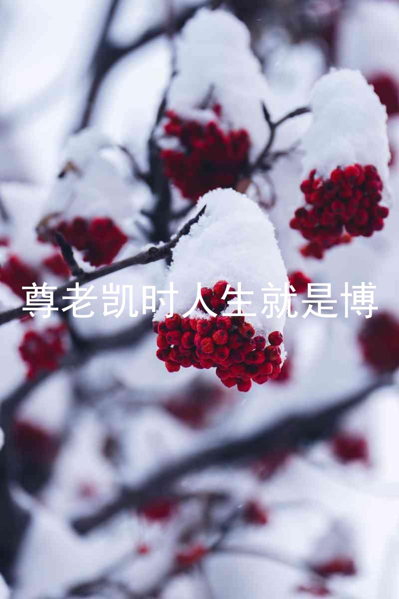 尊老凯时人生就是博